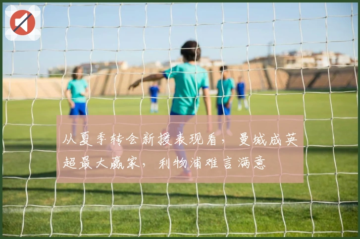 从夏季转会新援表现看，曼城成英超最大赢家，利物浦难言满意