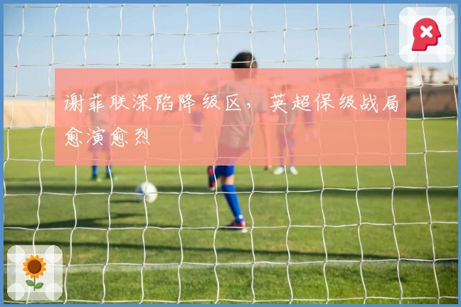 谢菲联深陷降级区，英超保级战局愈演愈烈