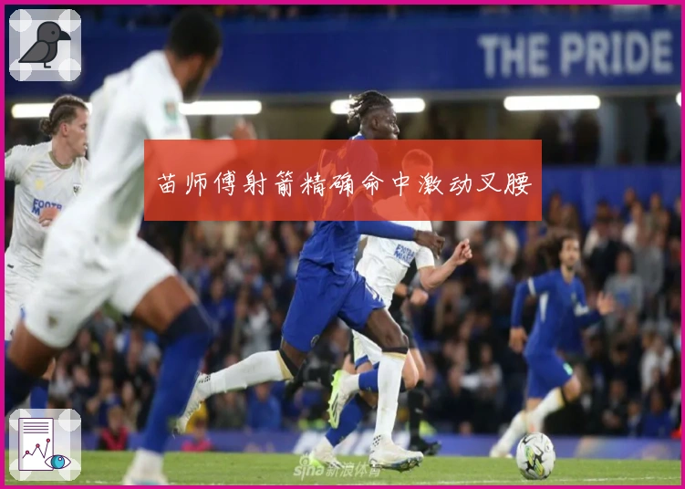 苗师傅射箭精确命中激动叉腰