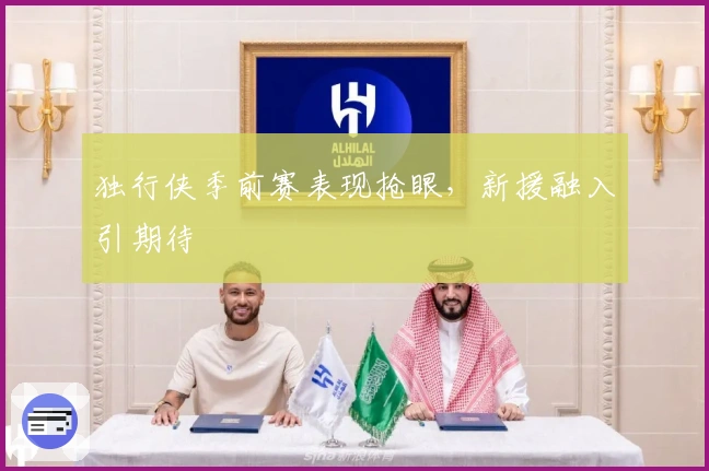 独行侠季前赛表现抢眼，新援融入引期待